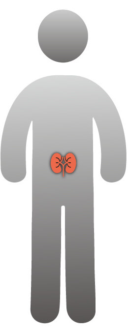 topics-kidney-diseases-blank