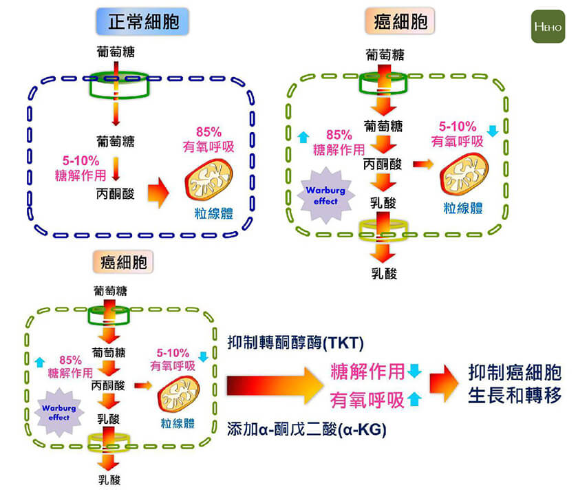  Heho健康 