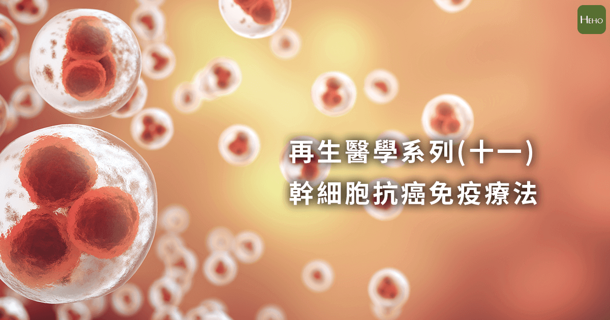假日稿_幹細胞抗癌-01
