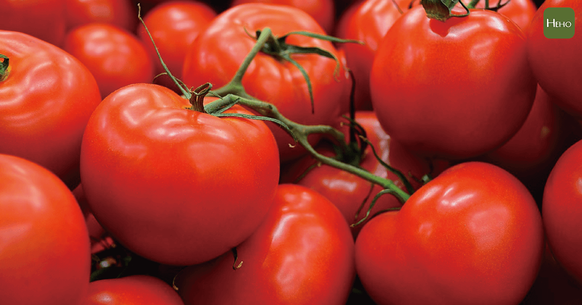 常吃番茄降血壓！吃對茄紅素還能幫助身體對抗癌症