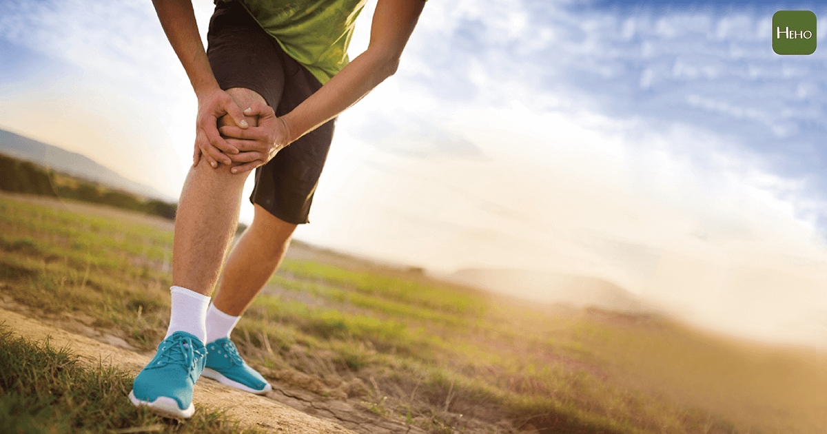 膝蓋內側痛就是退化嗎？慢跑者常誤認的鵝足肌腱炎