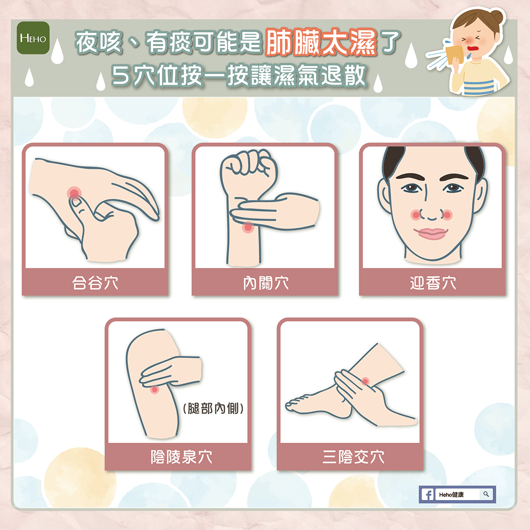 夜咳、有痰可能是肺臟太濕了，快按５穴位讓濕氣退散！ | 蕃新聞