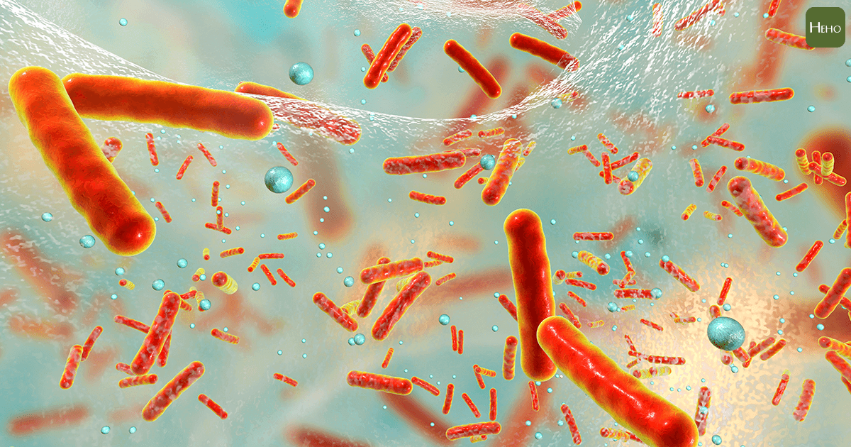 每15分鐘就有一人死於超級細菌！國際媒體提出5種細菌登上黑名單！