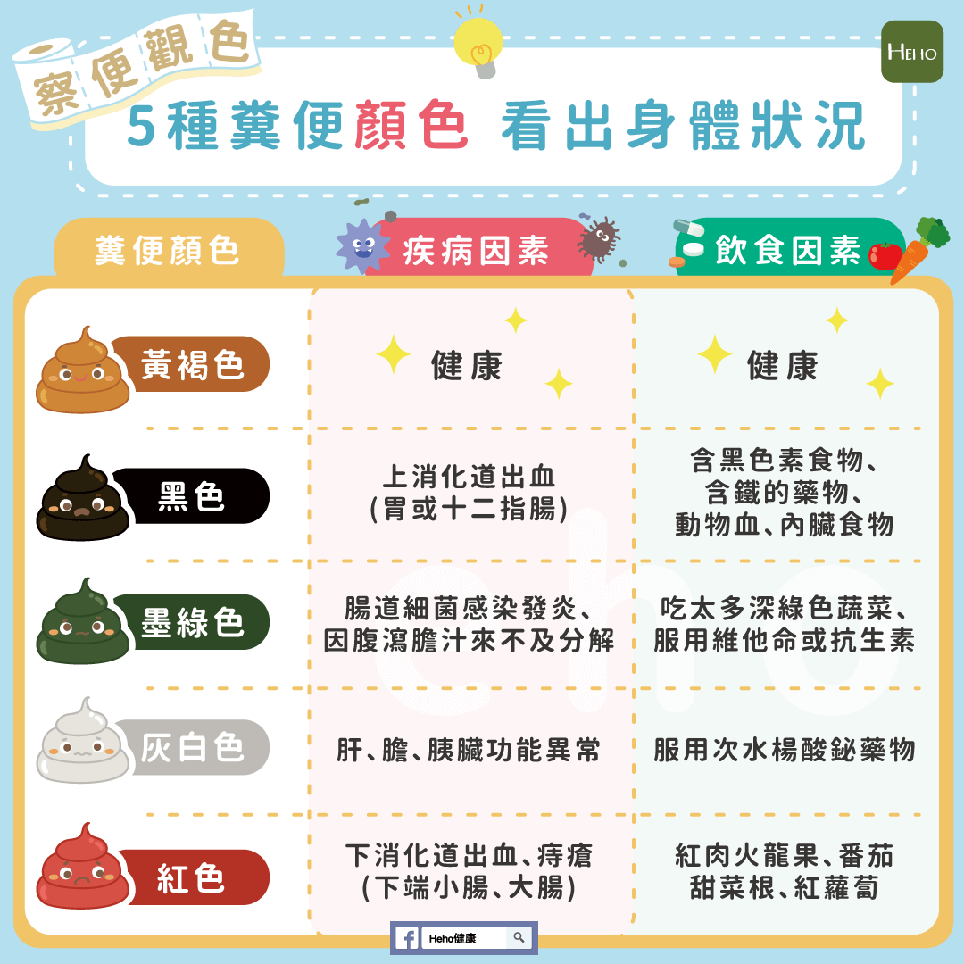 察便觀「色」!5種糞便顏色 看出身體狀況 | 蕃新聞