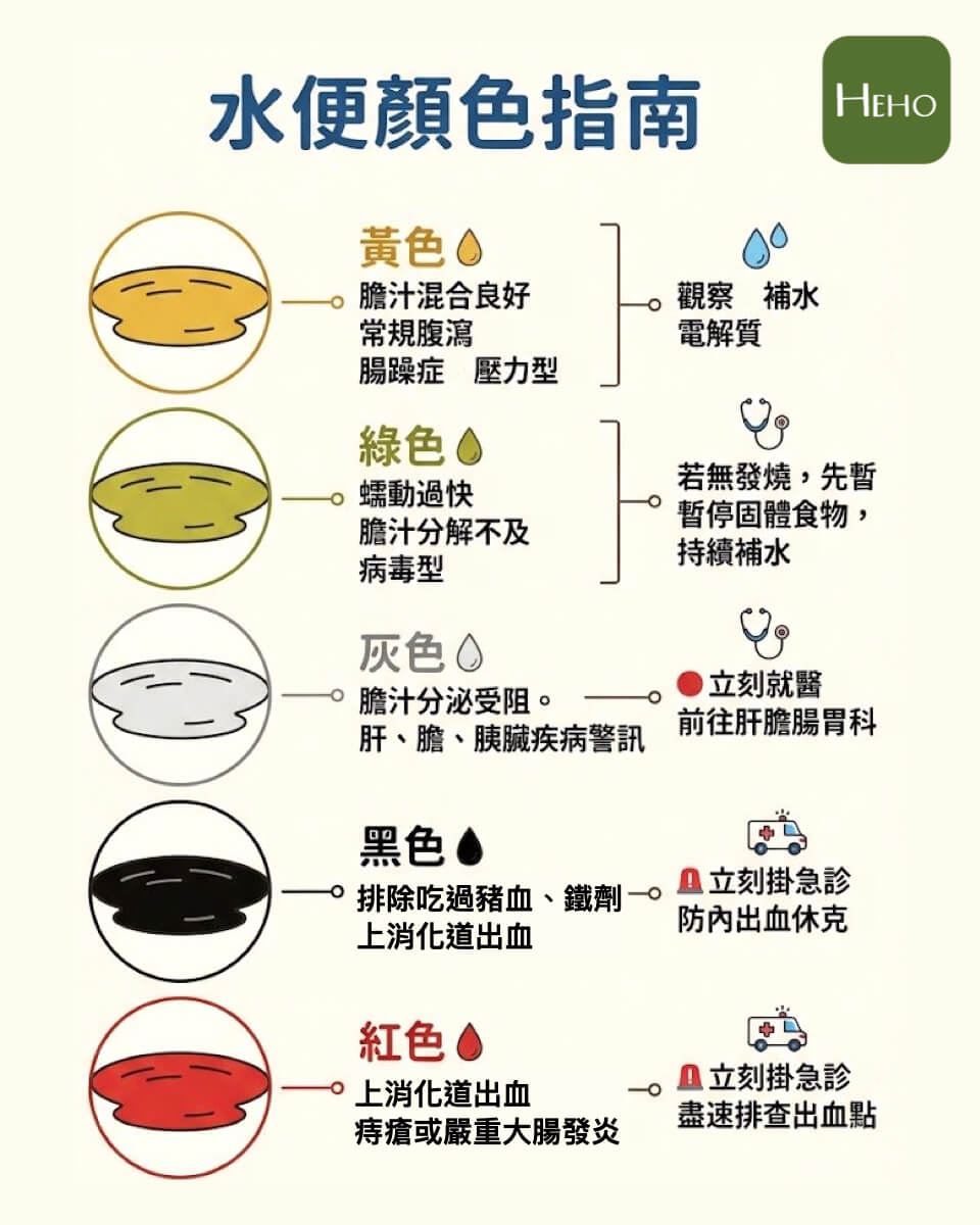 糞便的顏色是腸胃發出的求救信號,5 種水便顏色,決定你要不要立刻掛急診!