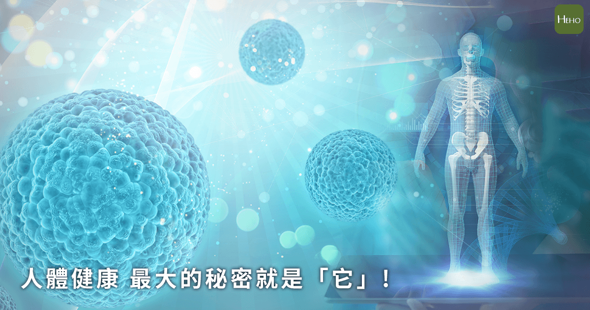 20191118-T細胞