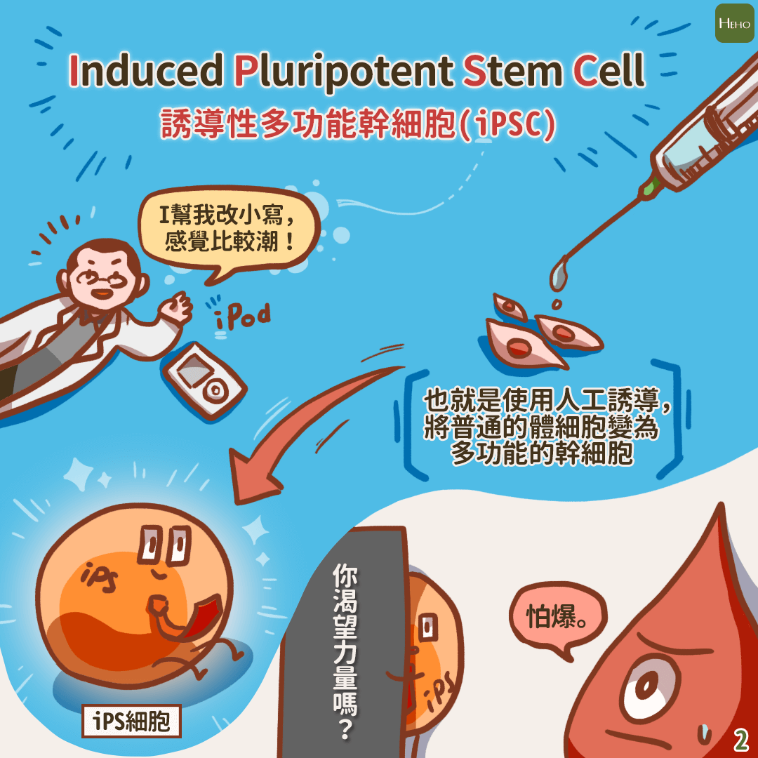 讓幹細胞宛若新生！劃時代革新技術iPS逆轉細胞時鐘成真