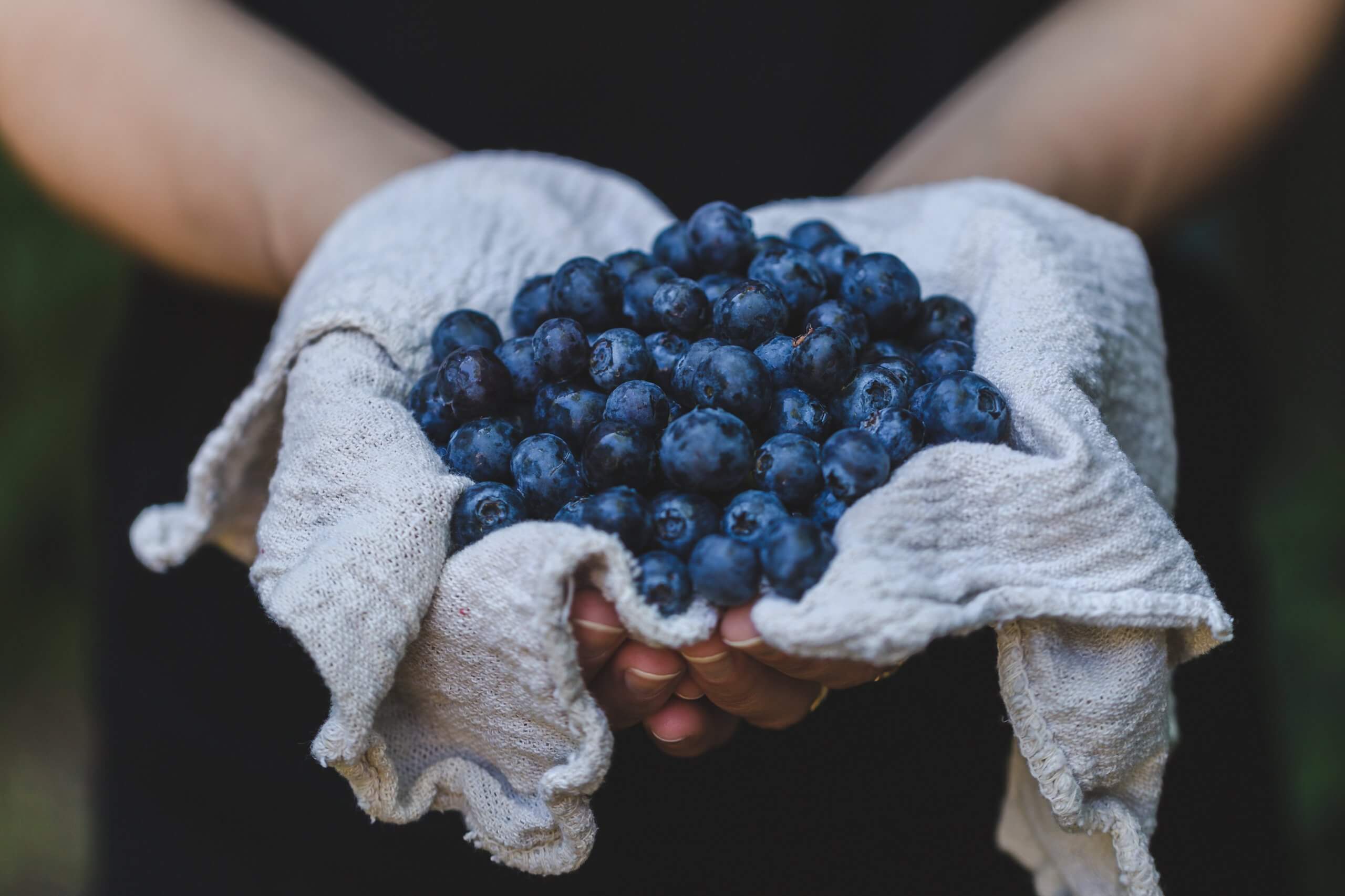 哈佛大學也推！藍莓是超級水果心血管疾病率降低15％