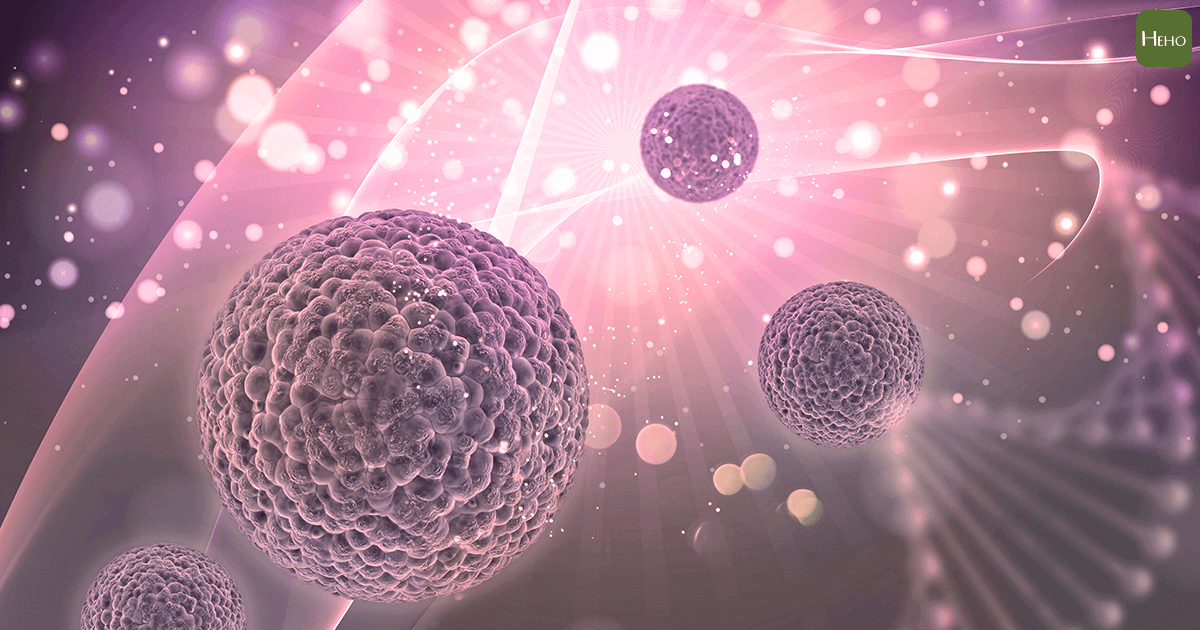 英國發現新免疫細胞療法！有望通殺所有癌症