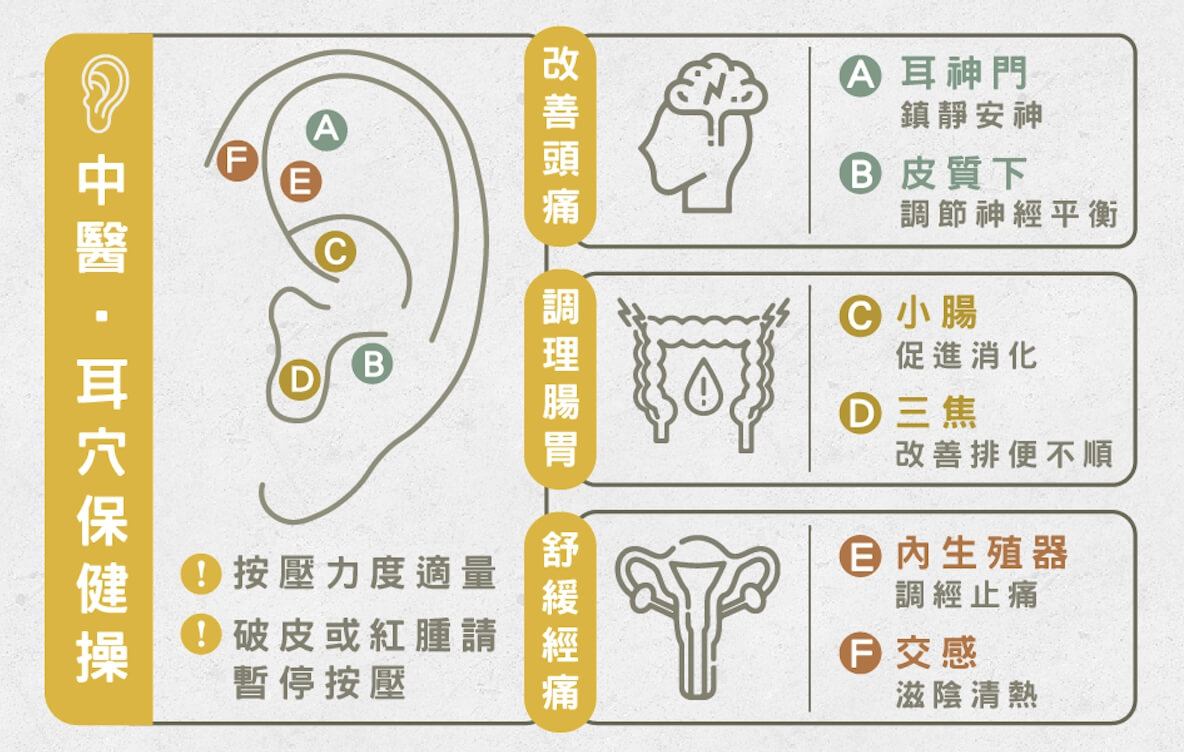 中醫師教按耳穴保健操顧身！改善頭痛、經痛、腸胃脹氣