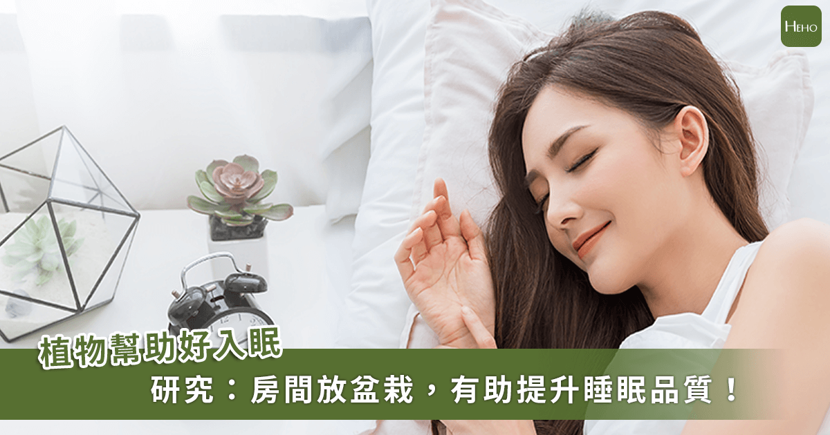 居家生活 / 簡單一招改善睡眠品質！研究：擺盆綠色植栽能降低「壓力賀爾蒙」皮質醇