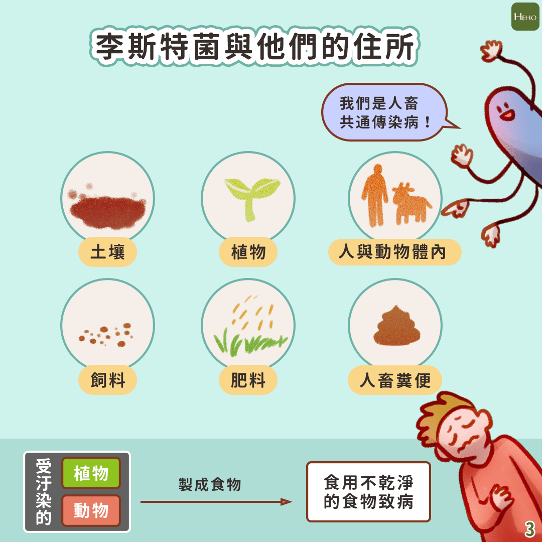 最致命的食物中毒病原體之一！孕婦聞之色變的李斯特菌