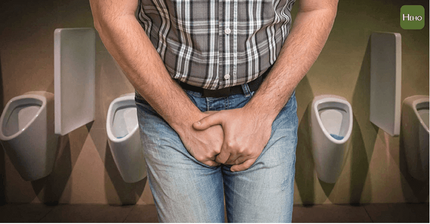 攝護腺胯下睪丸廁所男性生殖系統