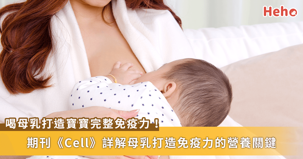 寶寶喝母乳能打造最完整免疫力！《Cell》詳解母乳中營養怎麼補