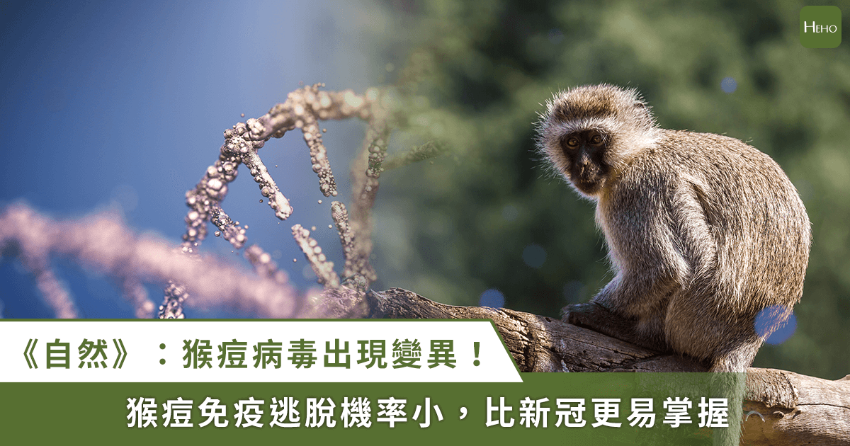 《自然》：猴痘病毒基因出現變異！專家解讀影響有多大？
