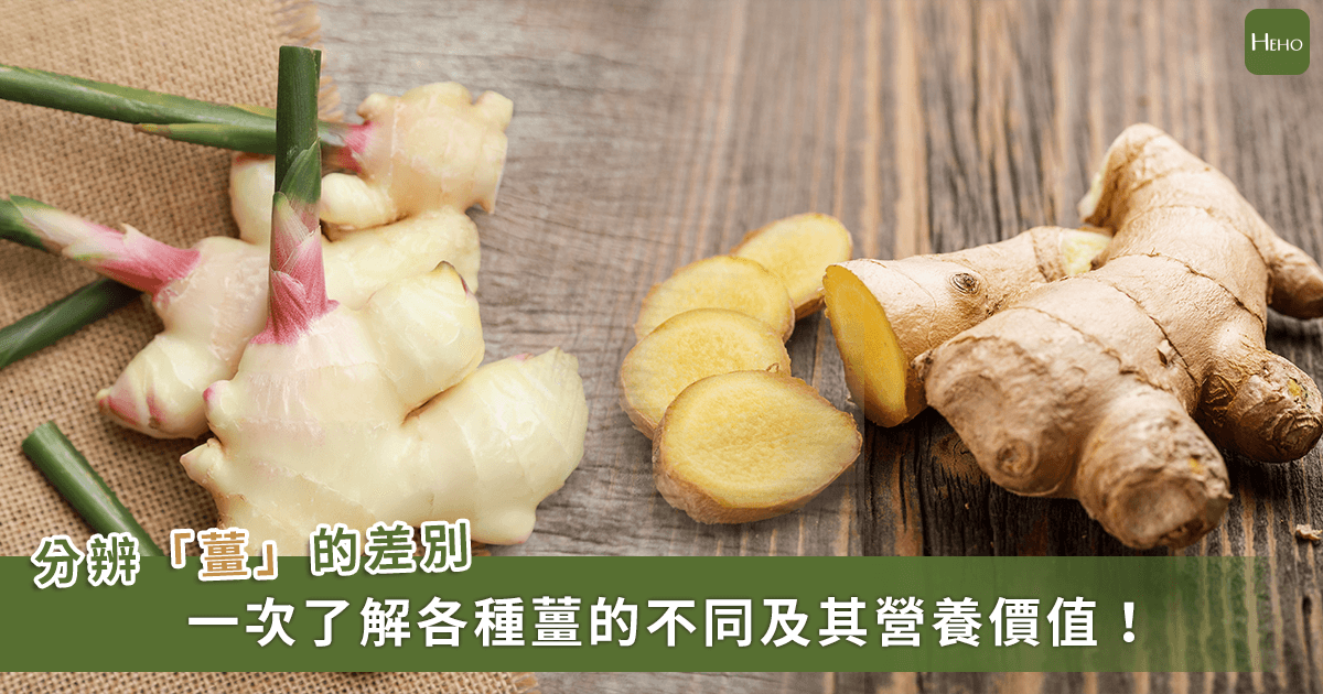 20221101_嫩薑、粉薑和老薑差在哪？料理用途、營養價值、保存方法一次看