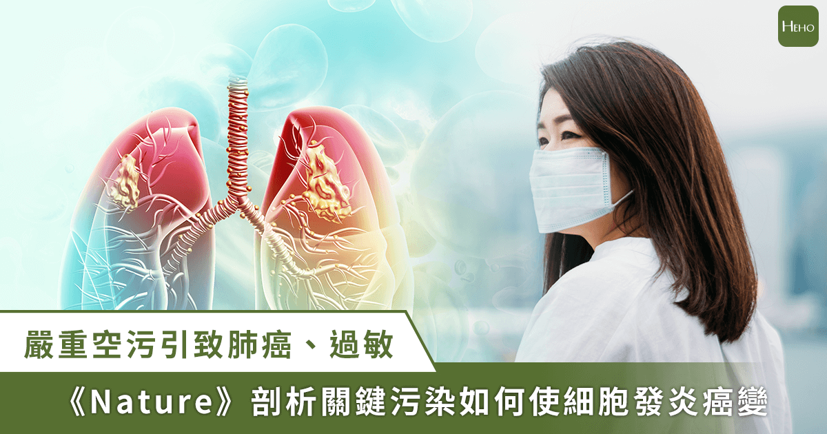 20230510_嚴重空污引致肺癌、過敏《Nature》剖析關鍵污染如何使細胞發炎癌變