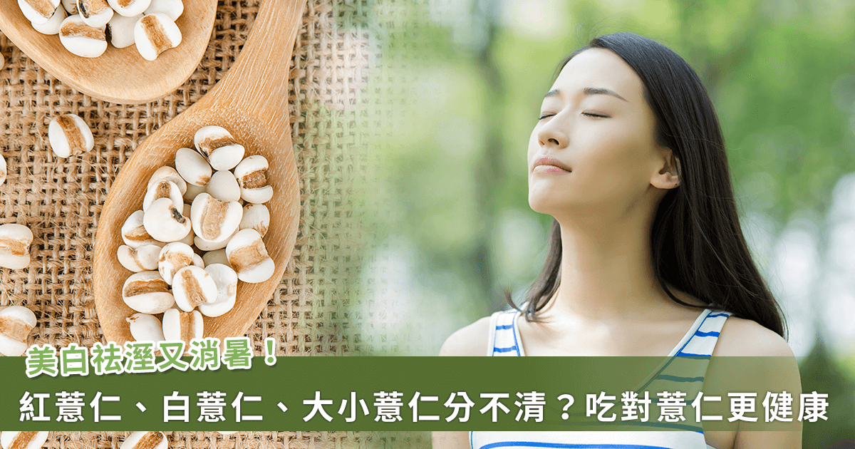 夏季美白、去濕氣好夥伴！紅薏仁、白薏仁、小薏仁差在哪？營養價值最高是它