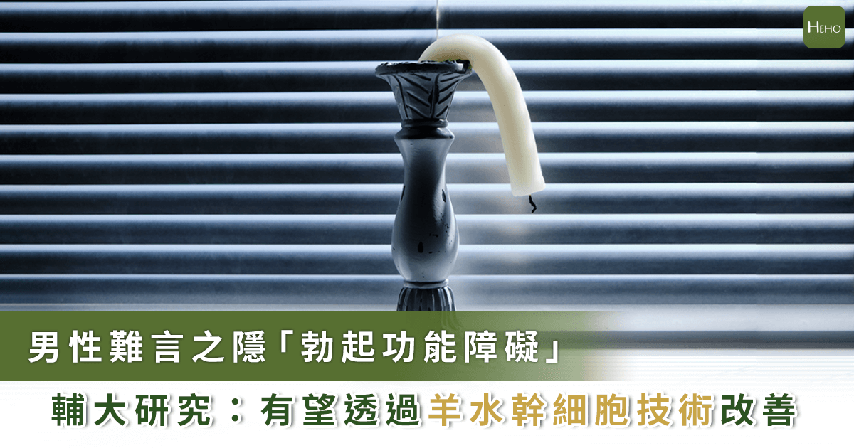 男人不可說的秘密有解！輔大研究發現：羊水幹細胞將是重振男性雄風的新希望