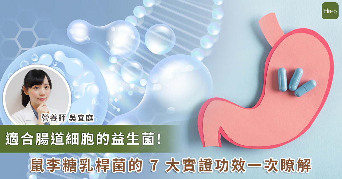 20230901_適合腸道細胞的益生菌 屬禮堂乳桿菌的七大實證功效一次瞭解