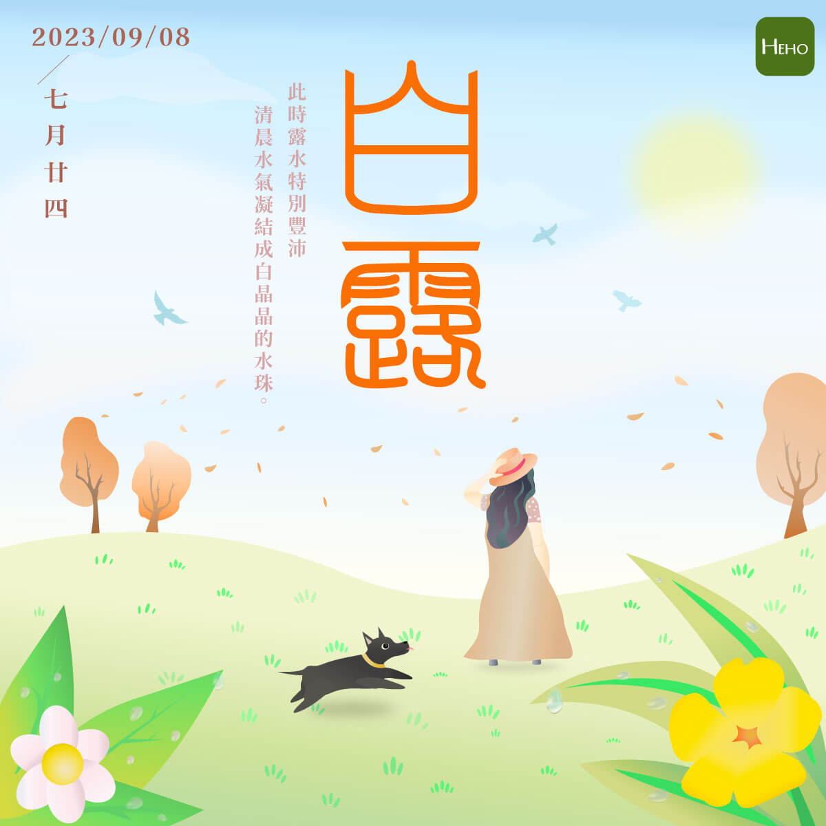 白露 白露