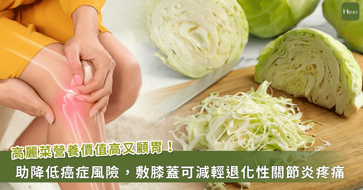 20240115_高麗菜營養價值高又顧胃！助降低癌症風險，還可減輕退化性關節炎疼痛