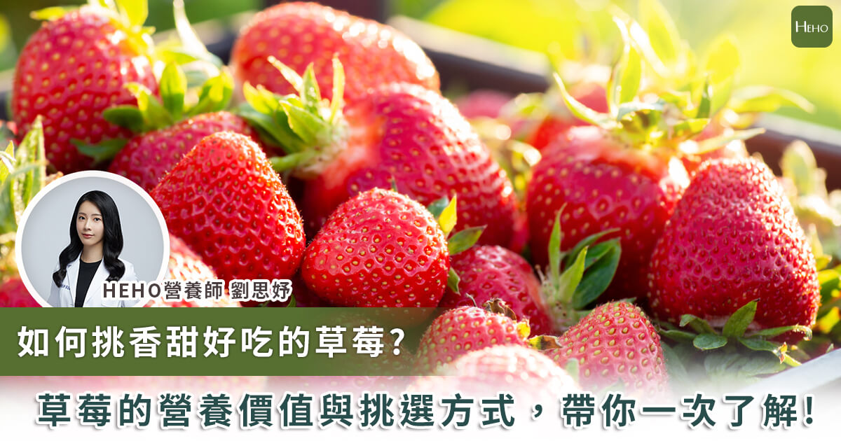 20240122_如何挑香甜好吃的草莓 草莓的營養價值與挑選方式 帶你一次了解