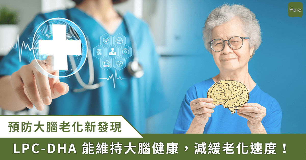 20240730_幫助大腦防老化，補充-DHA-有效嗎？新研究揭開-LPC-DHA-防腦初老的秘密