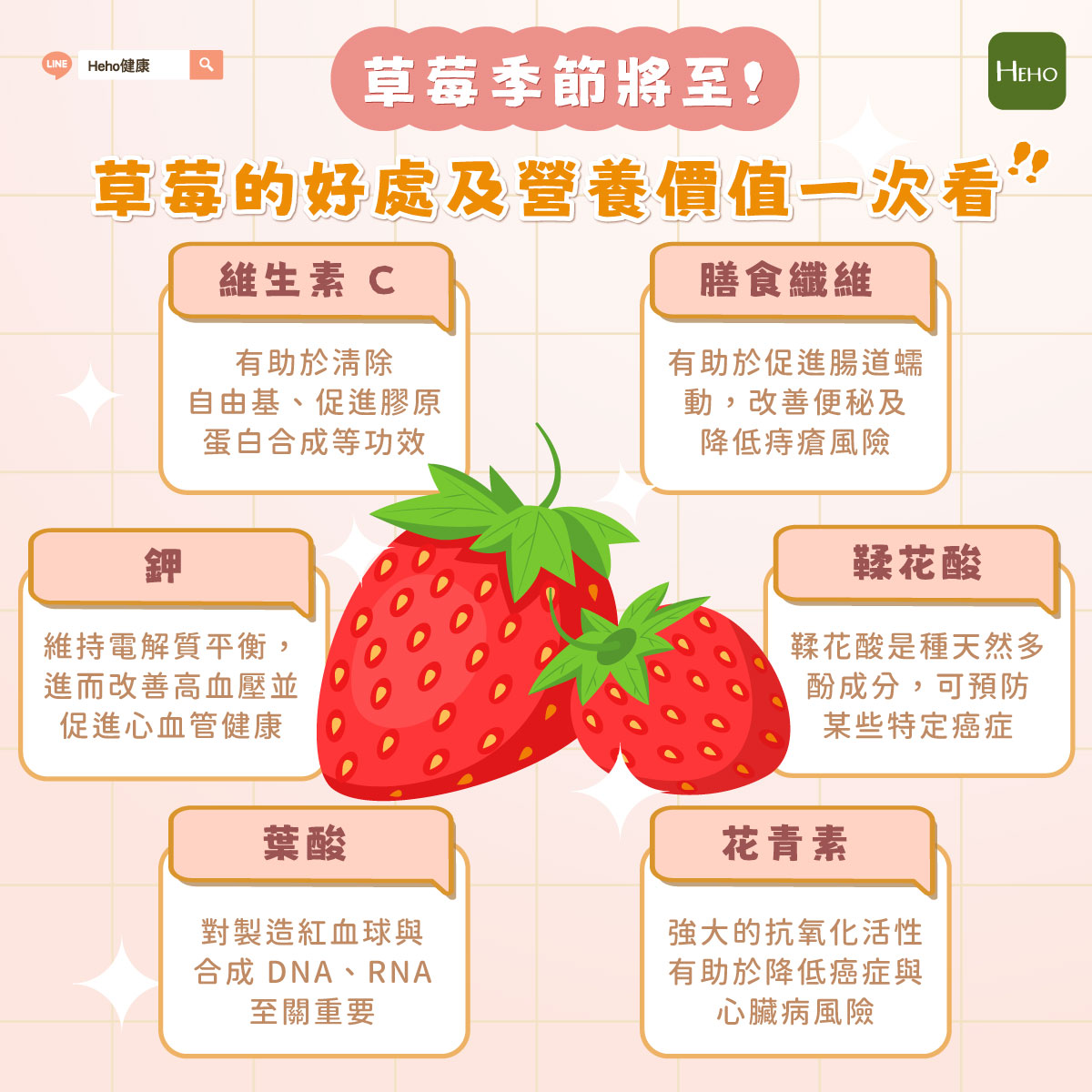 圖解_草莓 圖解_草莓
