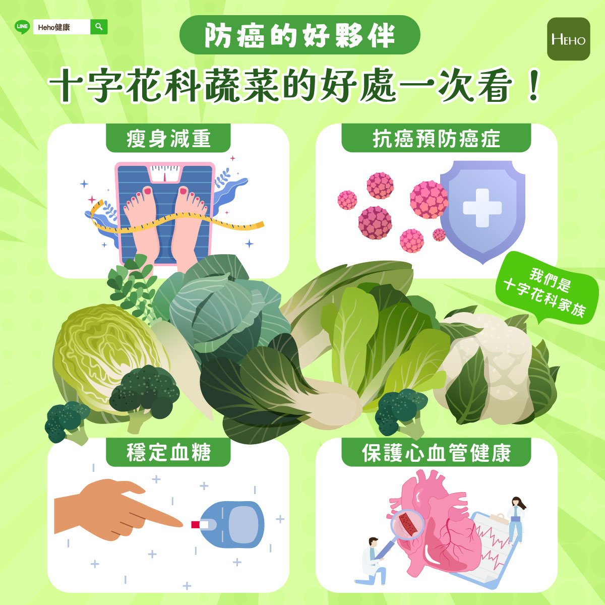 圖解_十字花科菜 圖解_十字花科菜