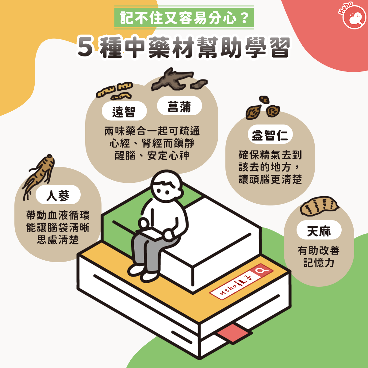 記不住又容易分心？ 5 種中藥材幫助學習