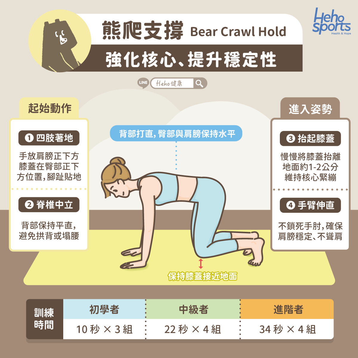 熊爬支撐，強化核心、提升穩定性