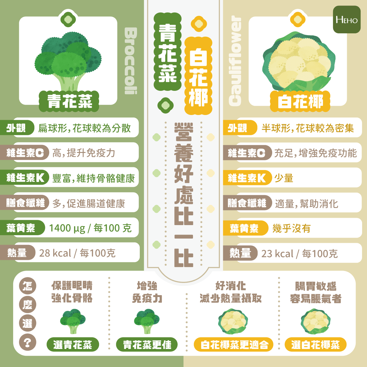 減肥就吃這一種！青花菜、白花椰營養好處比一比