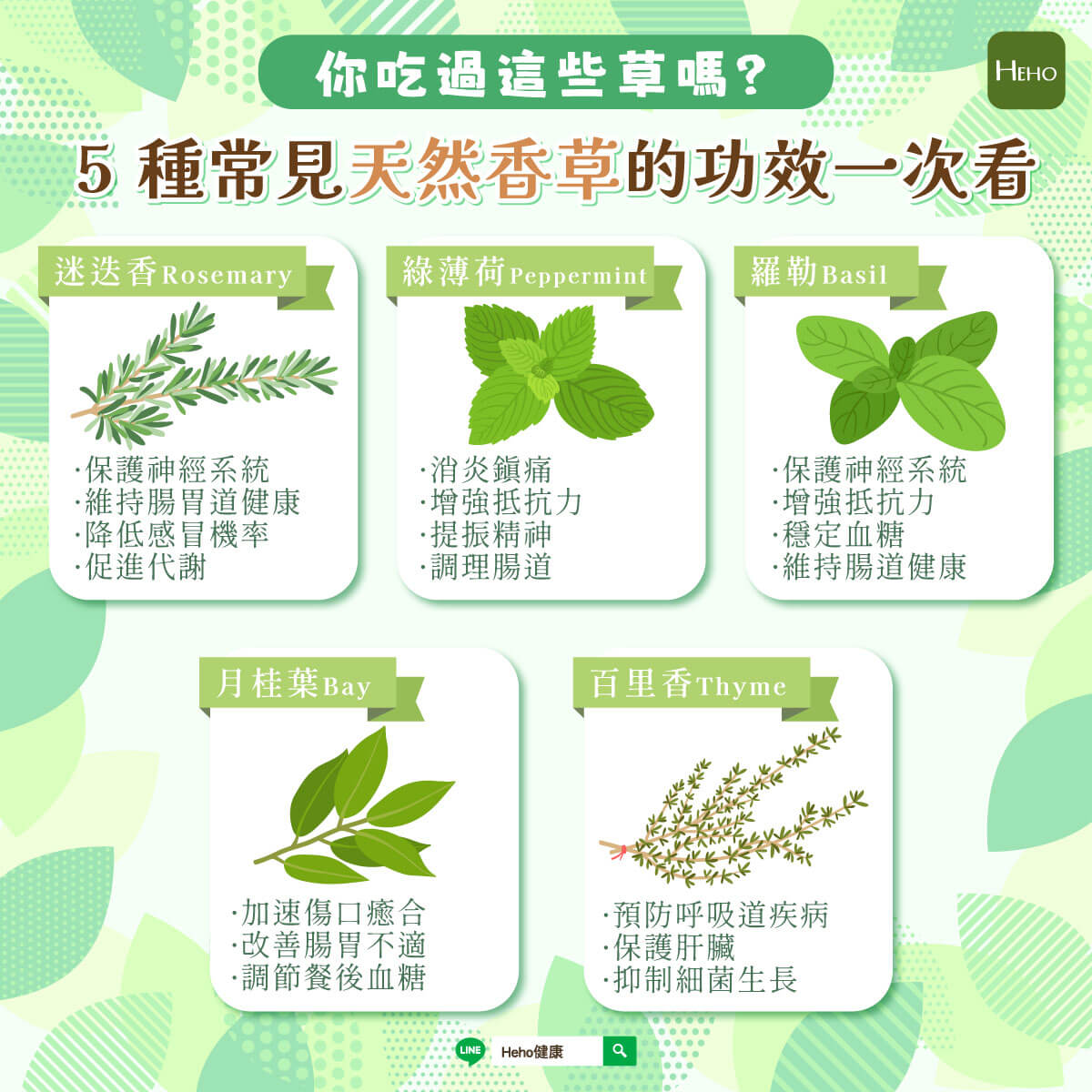 圖解_-5-種常見天然香草的用途與功效 圖解_-5-種常見天然香草的用途與功效