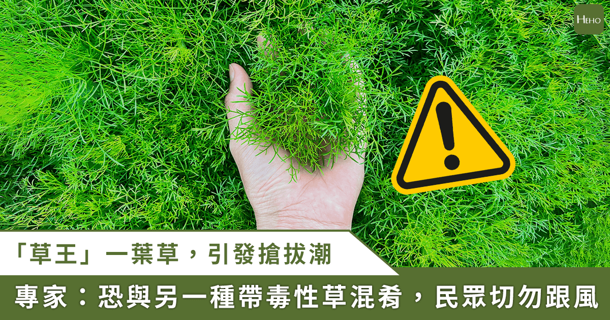 新聞圖片