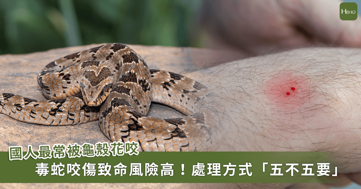 新聞圖片