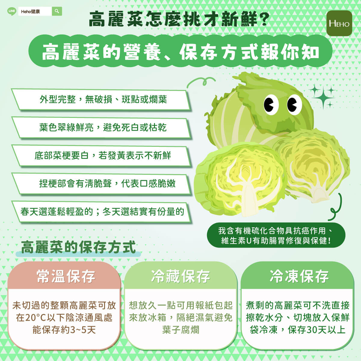 圖解_高麗菜 圖解_高麗菜