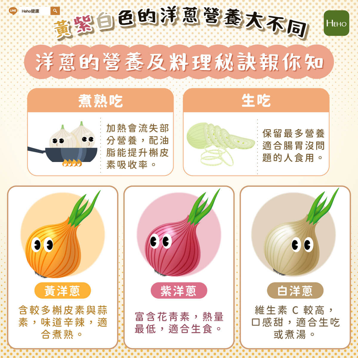 圖解＿洋蔥