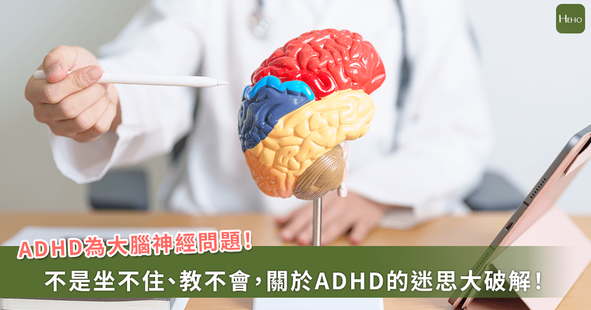 不是坐不住教不會！台大副院長高淑芬詳解過動症大腦運作和迷思