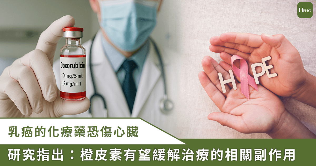 20251029_乳癌化療藥傷「心」？新研究：橙皮素可減輕化療心臟毒性，救命不傷心
