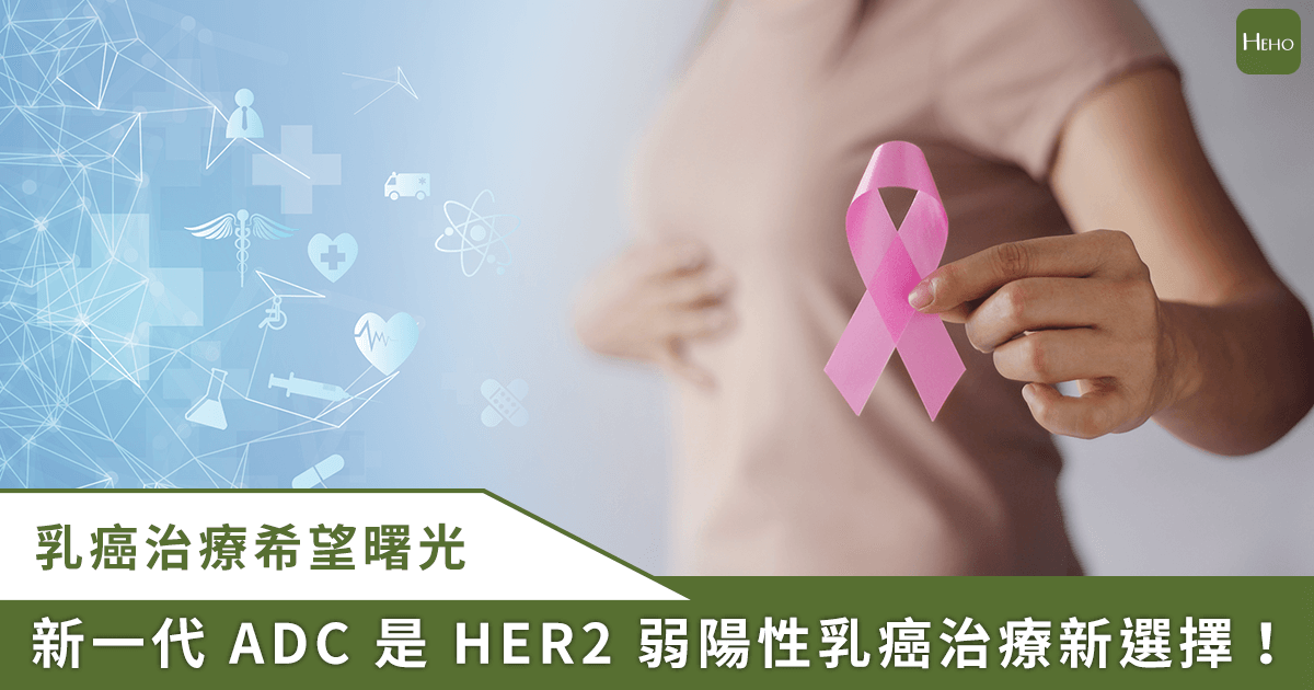 20251113＿我不能倒下！乳癌不只是藥物治療，專家推支持-2-關鍵，戰勝癌細胞