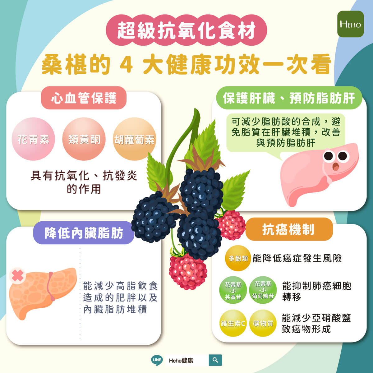 圖解＿桑椹的4大健康功效一次看