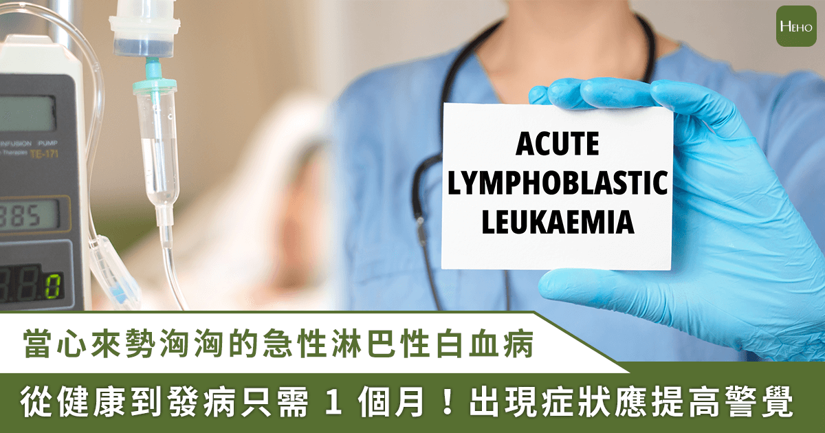 20260128＿急性淋巴性白血病來勢洶洶！醫建議用-1-方法訂定精準治療策略