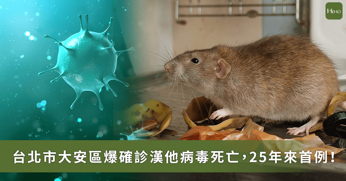新聞圖片