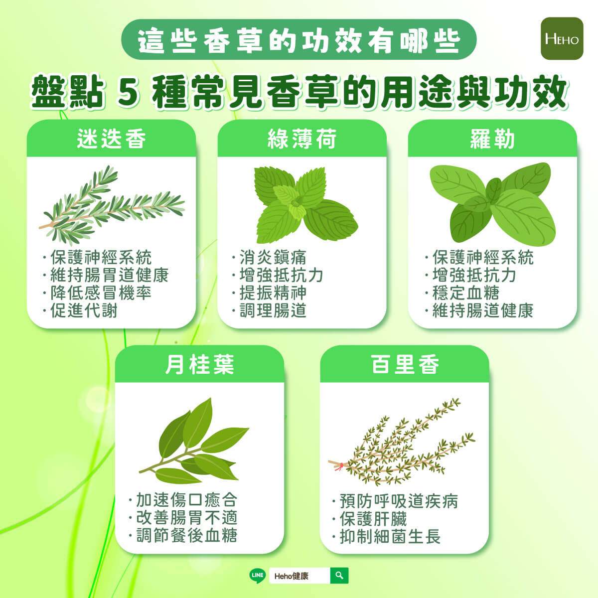 圖解＿-一次認識5種常見香草的用途與功效-