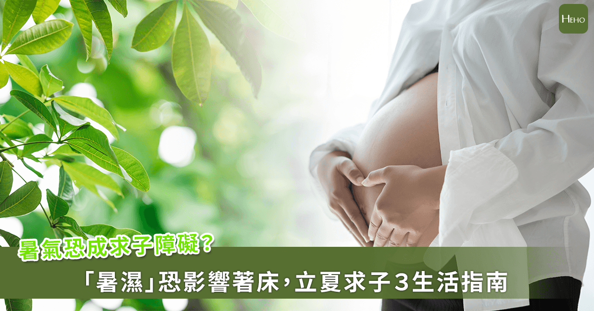 20260505-暑氣恐成求子障礙？「暑濕」恐影響著床，立夏求子３生活指南